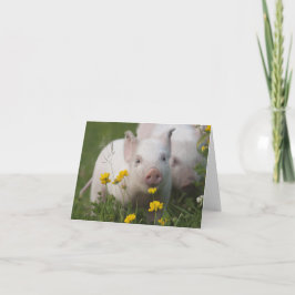 ベビーの子豚の花のフィールド カード