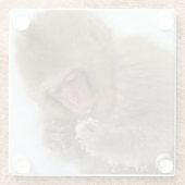 ベビーの日本のなマカク属|の雪猿 ガラスコースター (裏面)