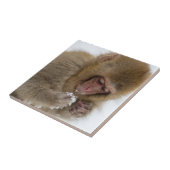 ベビーの日本のなマカク属|の雪猿 タイル (側面)