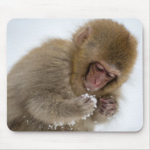 ベビーの日本のなマカク属 の雪猿 マウスパッド