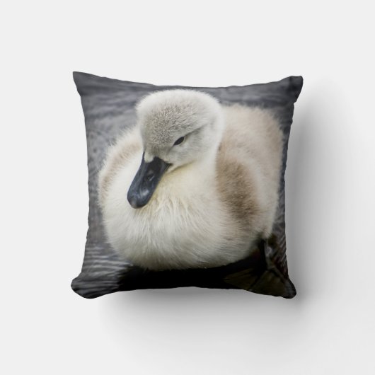 ベビーの白鳥|のCygnet クッション (正面)