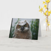 ベビーの素晴らし角状のフクロウ カード (黄色い花)