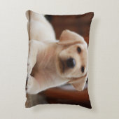 ベビーの腹に置いている黄色いラブラドールの小犬 アクセントクッション (裏面(縦))