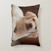 ベビーの腹に置いている黄色いラブラドールの小犬 アクセントクッション (正面(垂直))