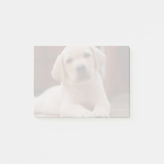 ベビーの腹に置いている黄色いラブラドールの小犬 ポストイット (正面)