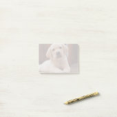 ベビーの腹に置いている黄色いラブラドールの小犬 ポストイット (デスク上)