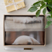 ベビーの腹に置いている黄色いラブラドールの小犬 薄葉紙 (ギフト)