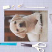 ベビーの腹に置いている黄色いラブラドールの小犬 薄葉紙 (クラフト)