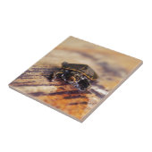 ベビーの色彩の鮮やかなカメのクローズアップ タイル (側面)