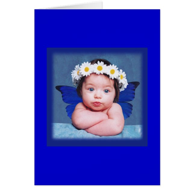 ベビーの蝶 (正面)