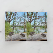 ベビーの遊ウォンバットのログ、あいさつ カード (内部)