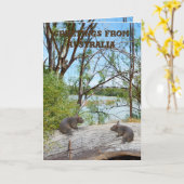 ベビーの遊ウォンバットのログ、あいさつ カード (黄色い花)