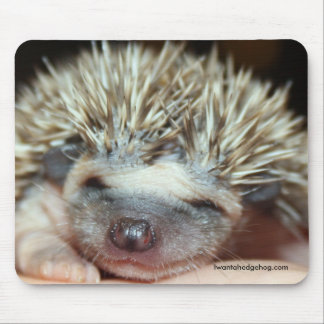 ベビーの顔 マウスパッド