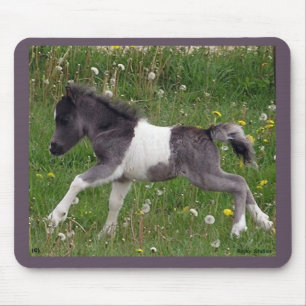 ベビーの馬のマウスパッド マウスパッド