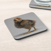 ベビーの鶏 コースター (左側)