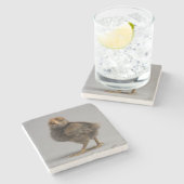 ベビーの鶏 ストーンコースター (横)