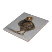 ベビーの鶏 タイル (側面)