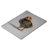 ベビーの鶏 ノートブック (左側)