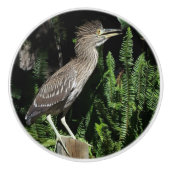 ベビーの鷲の鳥の野性生物動物のノブ セラミックノブ (正面)