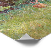 ベビーの鹿の野生のテキサス州 ポスター (角)