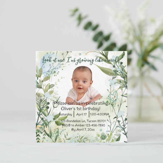 ベビーの1歳の誕生日、私を見て… (スタンド正面)