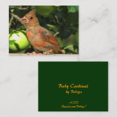 ベビーの（鳥）ショウジョウコウカンチョウATC 名刺 (正面/裏面)