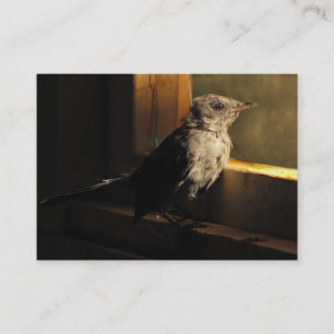 ベビーのCatbird ATC 名刺