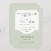 ベビーのClotheslineの性は招待状を明らかにします 招待状 (正面/裏面)