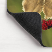 ベビーのLaniusのSchachの3羽の鳥 マウスパッド (コーナー)