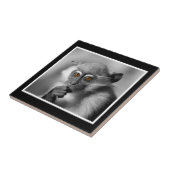 ベビーのMangabey猿 タイル (側面)