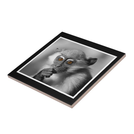 ベビーのMangabey猿 タイル (側面)