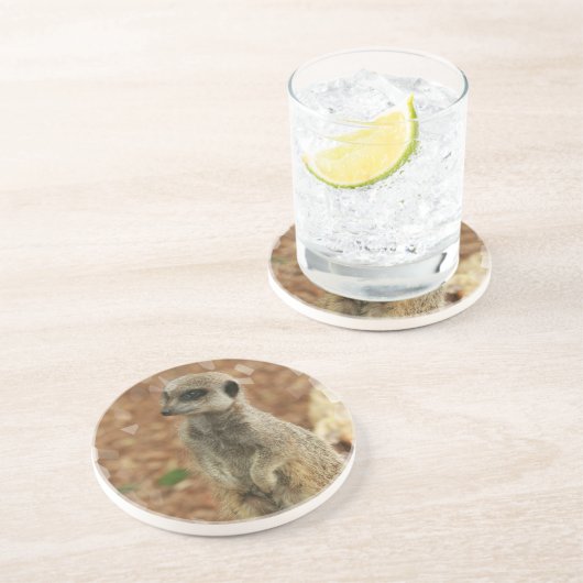 ベビーのMeerkatのコースター コースター (側面)