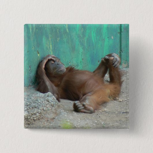ベビーのorangutangの休息 缶バッジ (正面)