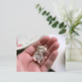 ベビーのRoborovskiのハムスターの郵便はがき ポストカード (スタンド正面)