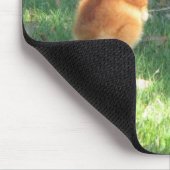 ベビーのSandhillクレーン マウスパッド (コーナー)