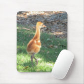 ベビーのSandhillクレーン マウスパッド (マウス)