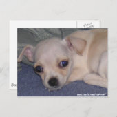 ベビーはがき ポストカード (正面/裏面)