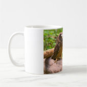 ベビーはフクロウのマグを磨くために見ました コーヒーマグカップ (左)