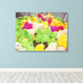 ベビーは染料で着色された市場でペンの中で雛を揚げる キャンバスプリント (インサイチュ (ウッドフロア))