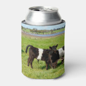 ベビーは田舎のガロウェイ牛を食べた 缶クーラー (缶正面)