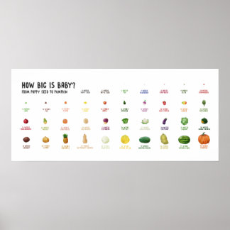 ベビーは？妊娠サイズのフルーツポスター ポスター