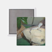 ベビーひげドラゴン マグネット (正面/裏面)