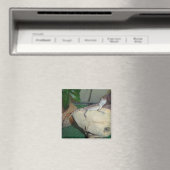 ベビーひげドラゴン マグネット (インサイチュ (食洗機))