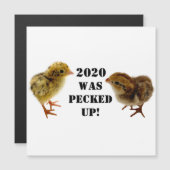 ベビーひな (正面/裏面)