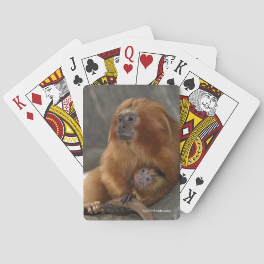 ベビーを持つ金ライオンのTamarin トランプ (裏面)