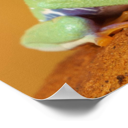 ベビーアカガエル ポスター (角)