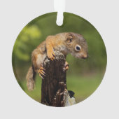 ベビーアカリス オーナメント (裏面)