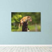 ベビーアカリス キャンバスプリント (インサイチュ (ウッドフロア))