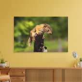 ベビーアカリス キャンバスプリント (インサイチュ (リビング))