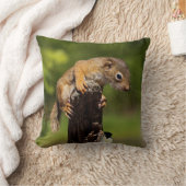 ベビーアカリス クッション (ブランケット)